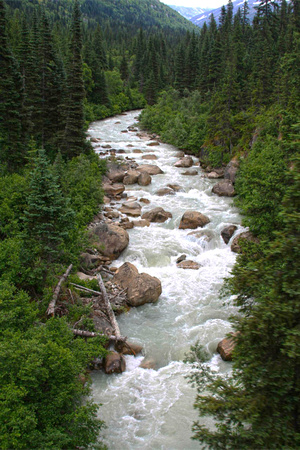 Stream on the Yukon Trail Train route