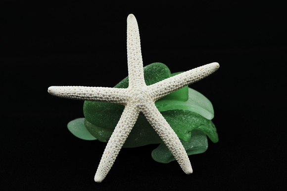 White Starfish on green sea glass pile